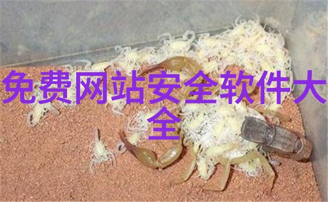 米兰达-挽Hermes铂金包一展名媛范
