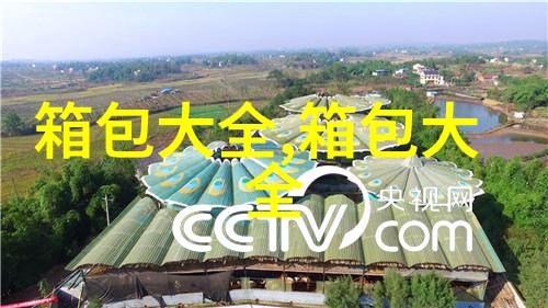 lv黑色老花怎么清洗保养