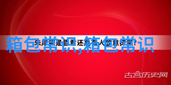 魅惑与力量并存的暗黑女包时尚与个性的完美结合