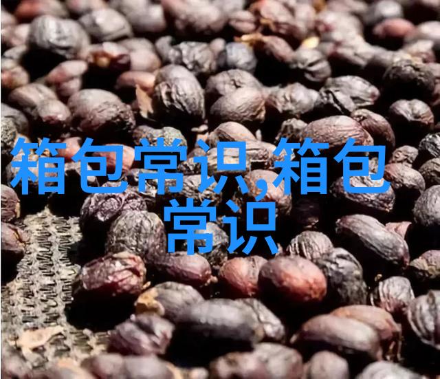 时尚新宠探寻糖糖女包的魅力与选购指南