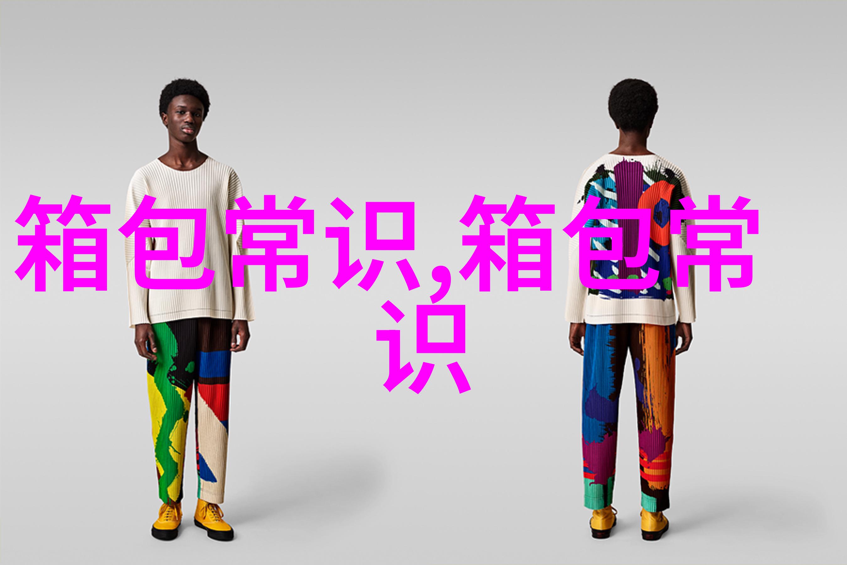 探索DSLANDIOY女包时尚与实用的完美结合