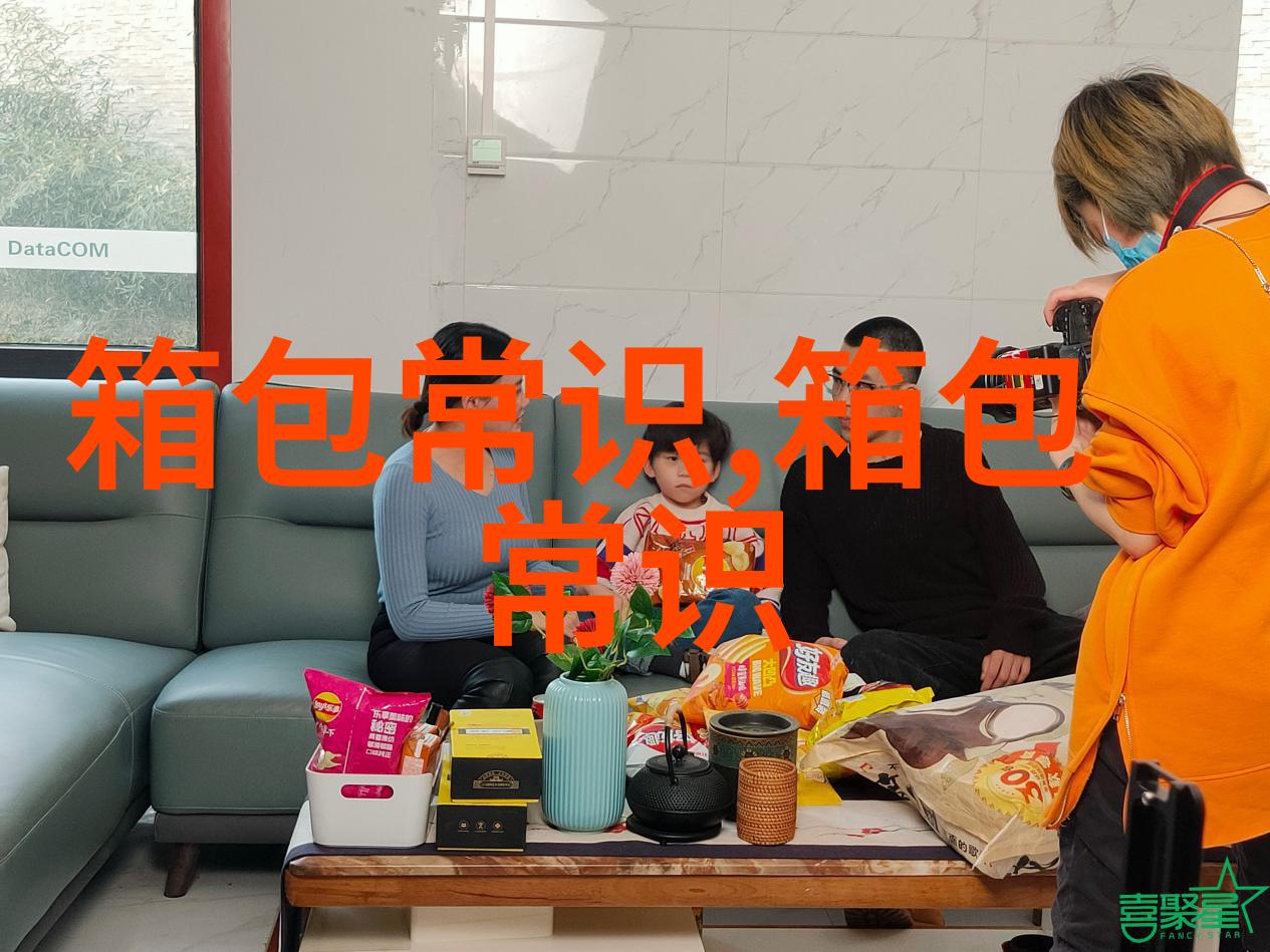 探索Vandee女包的魅力与风格一场时尚之旅
