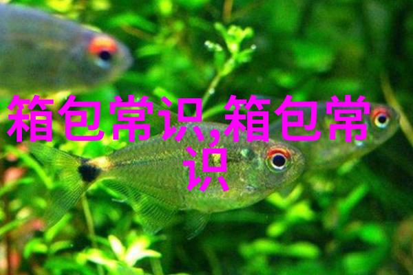 探索铁路女包时尚与实用的完美结合