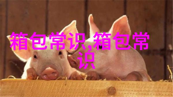 百度有钱花的电话可以换吗是不是改百度钱包的