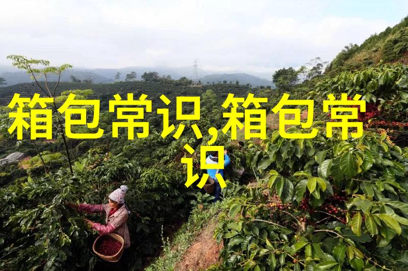 探索DVF女包时尚与功能的完美结合