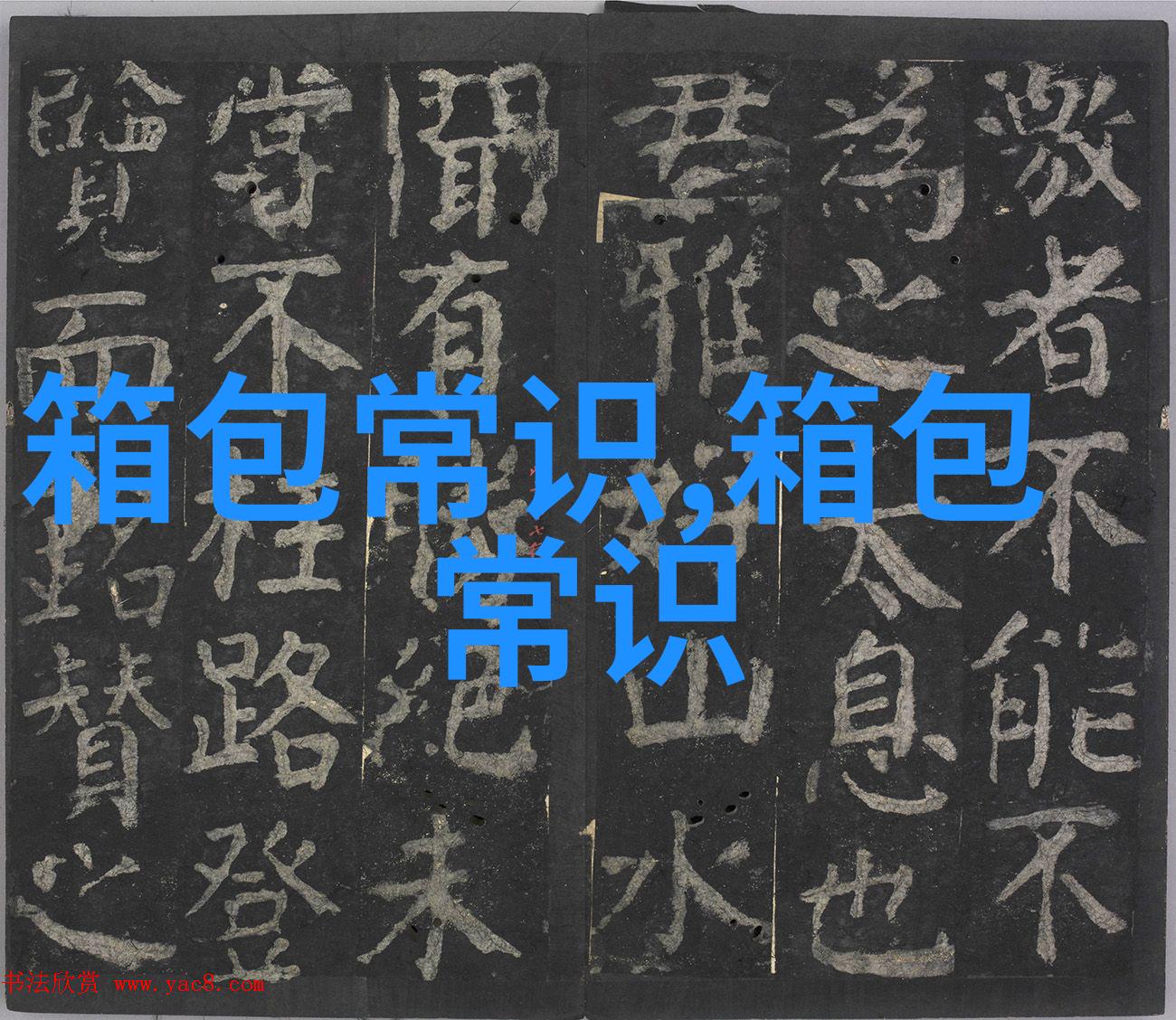 潮流新宠女圈圈包的时尚魅力与搭配技巧