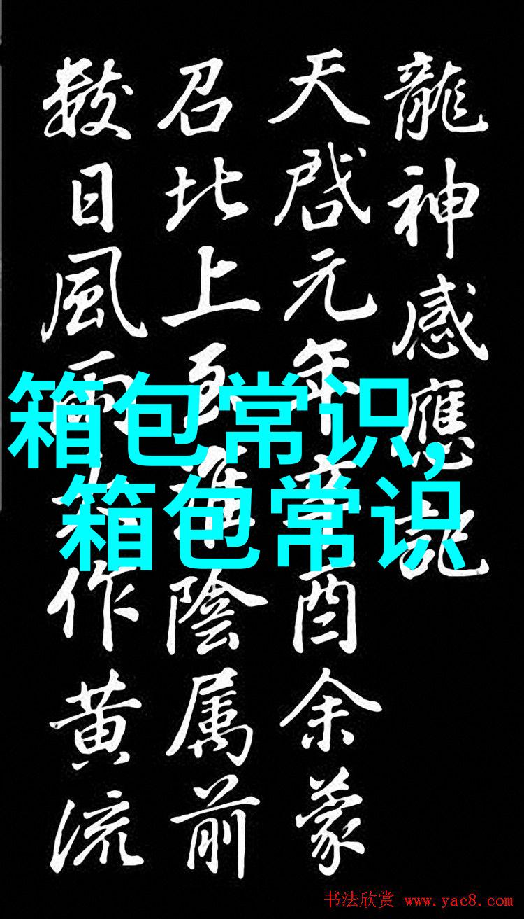 探索DSUO女包时尚与功能性完美结合