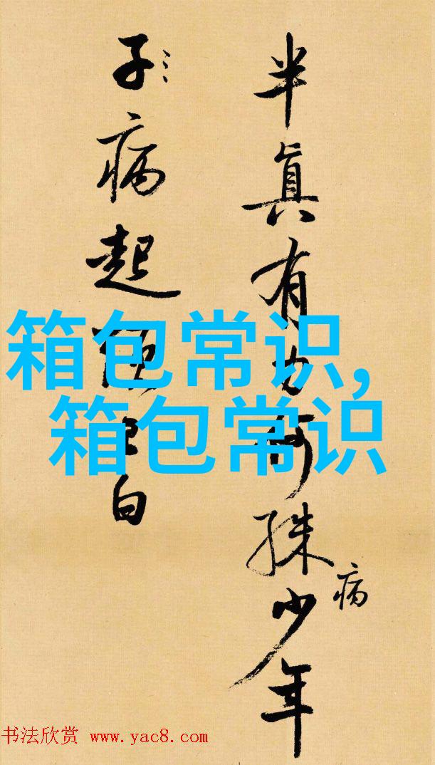 探索ZX女包时尚与实用的完美结合