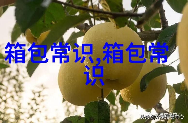 realme钱包怎么充钱