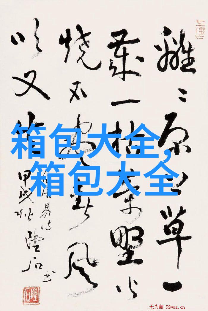 c大丈夫李小冉同款包包
