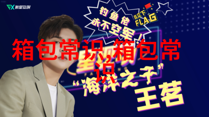 探秘MSOWNFUN女包时尚与品质的完美结合