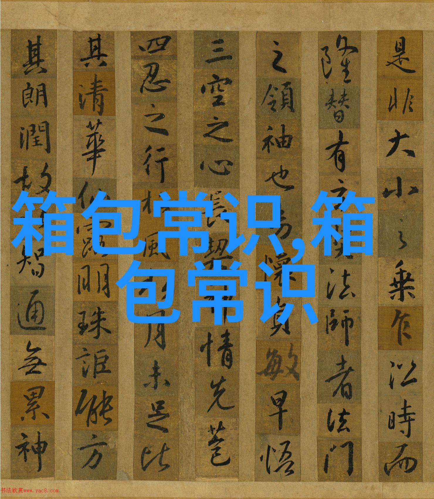 风格与奢华并存深入了解Halston女包的魅力