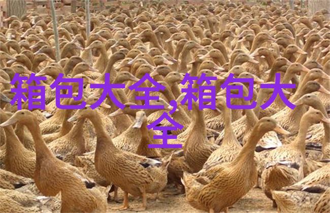 二手LV腰带回收值多少钱爱马仕回收价格高
